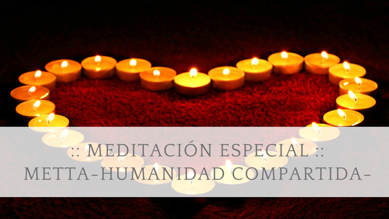 meditacion metta fin de año